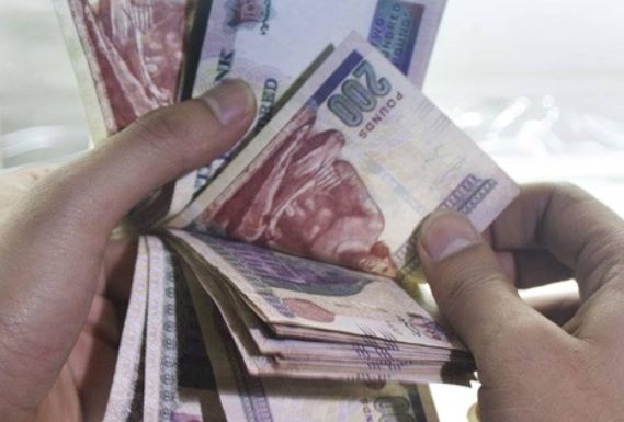قيمة غرامة انتخابات مجلس الشيوخ 2020