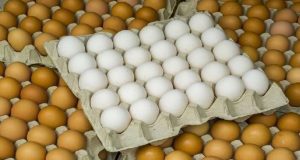 أسعار البيض اليوم 20 مارس 2021