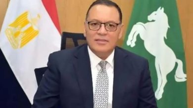 محافظ الشرقية توفير فرص عمل لذوي الاحتياجات الخاصة