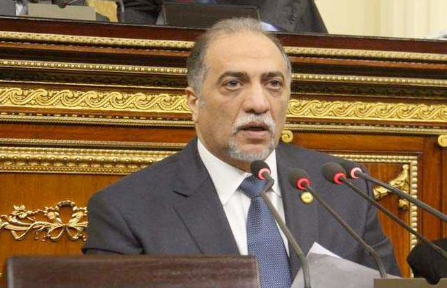 مجلس النواب يوافق على ميزانية المجلس القومي للأشخاص ذوي الإعاقة
