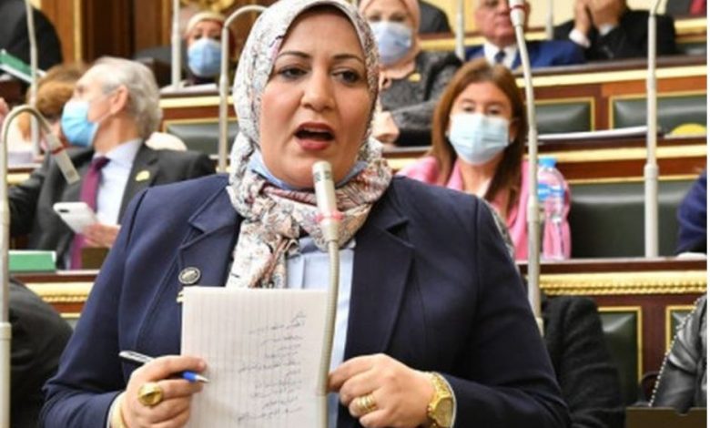 برلمانية الجمع بين معاشين للمرأة ذات الإعاقة خطوة مهمة