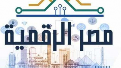 التأمينات: تقديم 15 خدمة من خلال "بوابة مصر الرقمية»