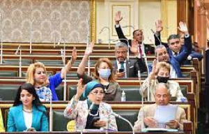 ضبط صيدلي تعدى على شخص من ذوى الإعاقة بالدقهلية