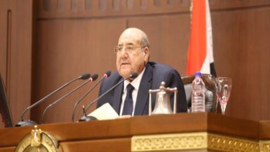 قانون ذوي الإعاقة .. "تضامن الشيوخ" تناقش اليوم الآثار المترتبة على التطبيق