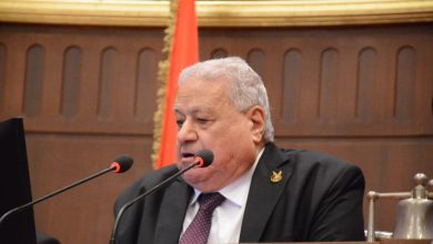 لتوظيف ذوي الاحتياجات الخاصة .. حزب حماة الوطن يدشن مبادرة "باب رزق"