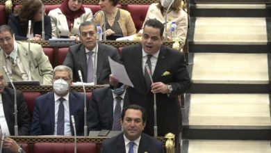 برلماني: إحصاء ذوي الإعاقة يسهل وصول الخدمات لهم والرئيس شدد على دقة المعلومات