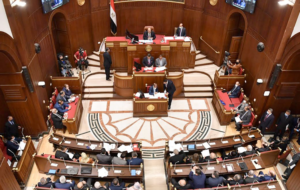 لتأهيل ذوي الهمم.. برلمانية تطالب بتفعيل دور صندوق "قادرون باختلاف"