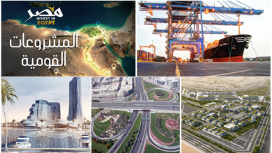 ذوي الاحتياجات الخاصة .. خطة لزيادة مشاركة المرأة وأصحاب الهمم في المشاريع الاقتصادية