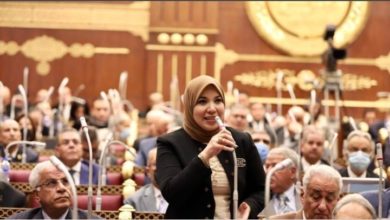 برلمانية: إنشاء صندوق ذوي الإعاقة يساهم في تقديم الخدمات لهم