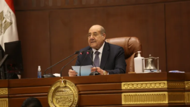 مجلس الشيوخ يناقش نقل تبعية صندوق ذوي الإعاقة لرئيس الجمهورية