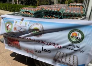 الزراعة: طرح كميات من البيض بالمنافذ الثابتة والمتحركة بسعر 58 جنيها للكرتونة