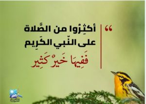 دعاء يوم عرفة مستجاب .. أفضل الأدعية