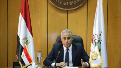 "القوى العاملة": فرص عمل جديدة.. وتوجيهات بالمتابعة والالتزام بالمصداقية