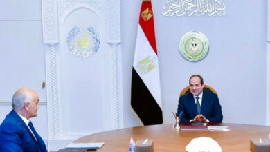 السيسي يوجه بحصر شهداء مصر في الحروب بدايةً من عام ١٩٤٨ لضمهم إلى المستفيدين من صندوق الشهداء