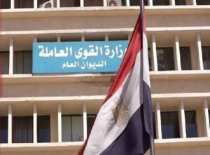 القوى العاملة: استلام 98 شاب فرص عمل حقيقية بالمنشآت من خلال ملتقى التوظيف بأسوان