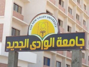 الوادى الجديد تنظم احتفالية بمناسبة اليوم العالمي لذوي الهمم