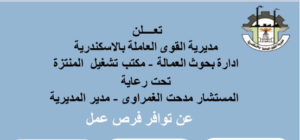 القوى العاملة: 120 فرصة عمل بالإسكندرية تشمل تأمين صحي واجتماعي