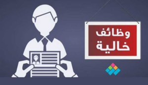 القوى العاملة: 120 فرصة عمل بالإسكندرية تشمل تأمين صحي واجتماعي