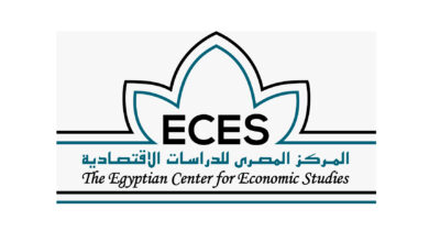 تقرير: وظائف ذوي الاحتياجات الخاصة في القاهرة الوجه البحري فقط