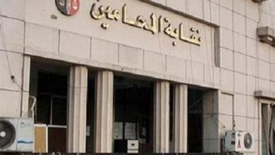قرارات نقابة المحامين بعد تعليق العمل أمام المحاكم