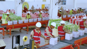 القوات المسلحة توزع كميات كبيرة من الحصص الغذائية بمختلف محافظات الجمهورية