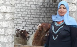 قروض منخفضة لذوى الهمم والمتحررين من الأمية لدعم المشروعات الصغيرة بالمحافظات