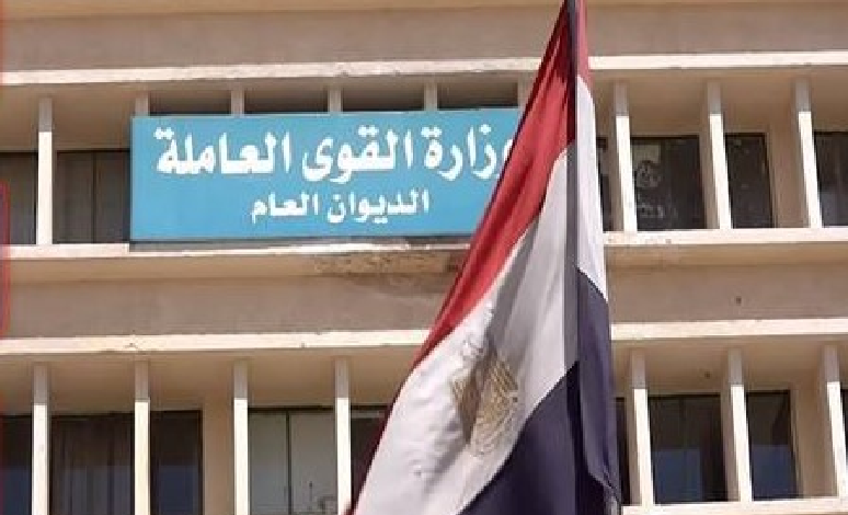 القوى العاملة: فرص عمل لفتيات الإسكندرية بمرتبات تبدأ من 4000 جنيه