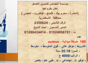 القوى العاملة: فرص عمل لفتيات الإسكندرية بمرتبات تبدأ من 4000 جنيه