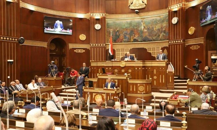 برلماني يقترح تدريس ذوي الإعاقة آليات العمل من المنزل لدمجهم في المجتمع
