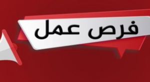 فرص عمل لفتيات الغربية بمؤسسة التمويل الأصغر (التفاصيل)