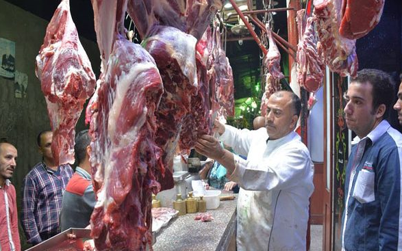 سعر كيلو اللحمة بـ195 جنيه.. مصر تستقبل 25 ألف رأس ماشية