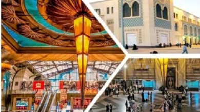 السكة الحديد: إتاحة حجز تذاكر القطارات عن طرق الهيئة وتطبيق الهاتف المحمول (التفاصيل)