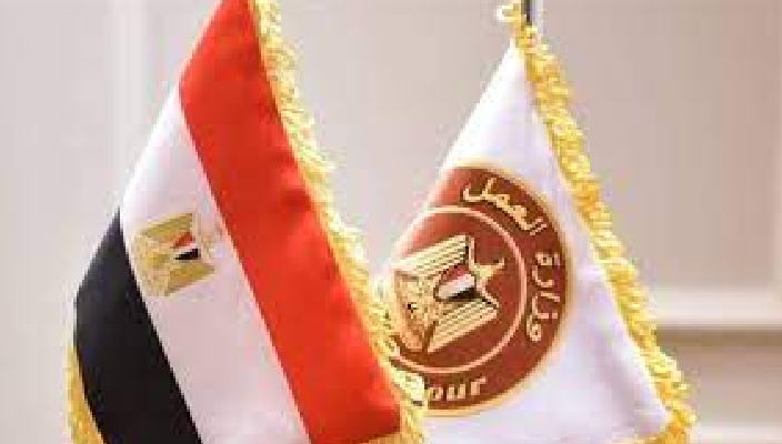 فرص عمل جديدة لشباب الإسماعيلية.. وبدء التقديم في التدريب المهنى على 3 مهن