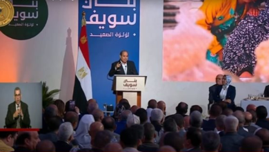 زيادة المعاشات والأجور.. قرارات هامة للرئيس السيسى اليوم السبت