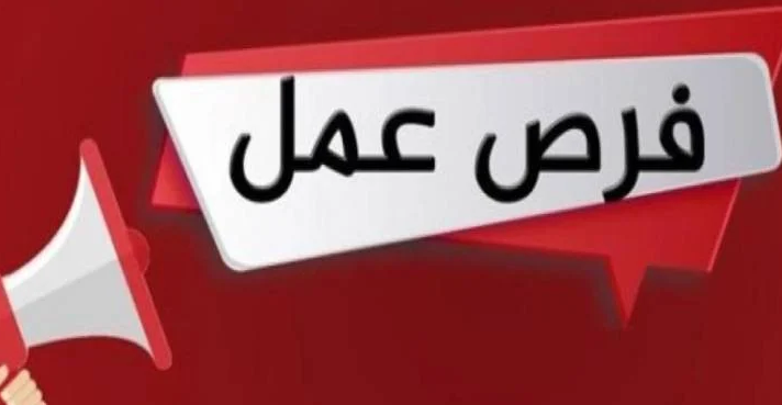 فرص عمل للذكور بالقطاع الخاص لشباب الأسكندرية (طرق التقديم)