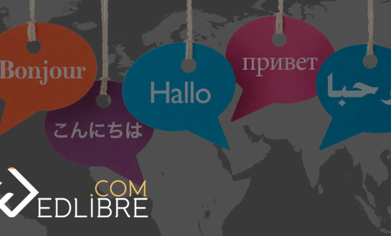 دورات مجانية على مهن مستحدثة لشباب الأسكندرية والمقيمين.. التسجيل أونلاين