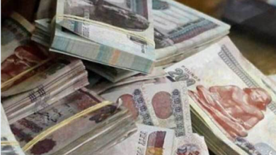 يبدأ من 200 ألف جنيه.. قرض المشروعات الصغيرة من بنك ناصر (الشروط)