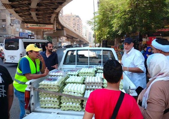 الزراعة تطرح كرتونة البيض للمواطنين بسعر ١٢٠ جنيه في ٧ محافظات (أعرفهم)