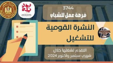 تضم ذوي الهمم: 3744 فُرصة عمل جديدة في 82 شركة خاصة في 13 مُحافظة (تفاصيل)