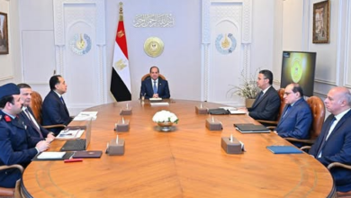الرئيس السيسي يتابع جهود الحكومة لتوفير السلع الأساسية بأسعار مناسبة
