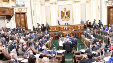 تفاصيل قيد العمالة من ذوي الإعاقة والأقزام في قانون العمل بعد موافقة مجلس النواب