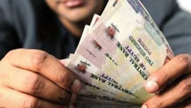 صرف منحة عيد العمال للعمالة غير المنتظمة بواقع 1500 جنيه لكل عامل