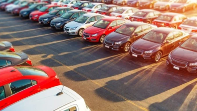 في قضية تزوير سيارات ذوي الإعاقة.. النيابة العامة تحيل أكثر من 64 متهما إلى الجنايات