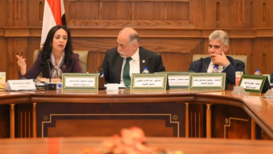 لاستخراج بطاقة الخدمات المتكاملة،، لجنة مشتركة بين التضامن والصحة للتيسير على ذوي الإعاقة