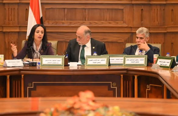 لاستخراج بطاقة الخدمات المتكاملة،، لجنة مشتركة بين التضامن والصحة للتيسير على ذوي الإعاقة